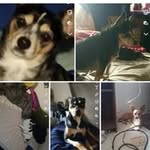 Kelly Swartz - @kellyswartzzz1977 - Instagram