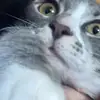 Kellie Tilley - @kellietilley398 - TikTok
