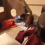 Kelly Tilley - @kelly.tilley.72 - Instagram