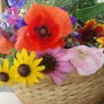 Kellie Doyle Townsend - @kmsnyde0302 - Instagram