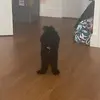 Kelly.Townsend - @kellytownsendlmzhszdt - TikTok