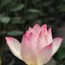 Kellie Yates - Facebook