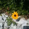 Kelly Akin248 - @kellyakin248 - TikTok