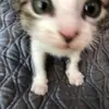 Kelly Eakin - @kelly.eakin2 - TikTok