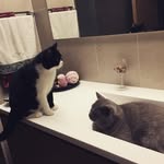 Kelly & Antonio - @_kelly_antonio_ - Instagram