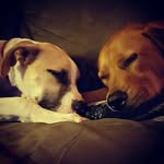 K. Atch - @kelly_atchison - Instagram