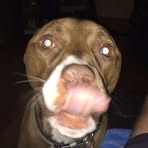 Kelly Atchison - Facebook