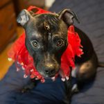 Kelly Prem - @kelly_augustine_prem - Instagram