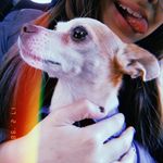 @_kelly_basile_ - Instagram