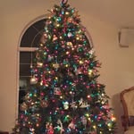 Kelly Lynn Batson - @batsonkelly - Instagram