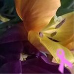 Kelly Baugher - @baugher.kelly - Instagram