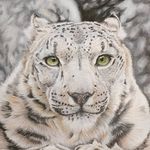 Kelli Bechtel - @kelli.art - Instagram