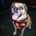 Kelly Becker - Facebook