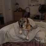 Kelly Been - @been6720 - Instagram
