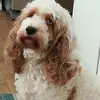 @kellybeene361 - TikTok