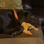 Kelly Jesowshek Bergmann - @kel_berg - Instagram