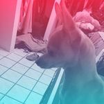 Kelly Bloom - @kelly_butera_uwu - Instagram