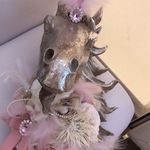 Kelly Bolin - @bolin7677 - Instagram