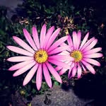 Kelly Brantner - @klbrantner - Instagram