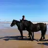 Kelly Brough - @kellybrough1 - TikTok