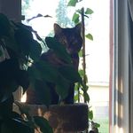 Kelly Buxton - @buxton5199 - Instagram