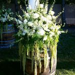 Kelly Buxton - @flowersnaturesreflections - Instagram
