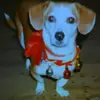 kellycato50 - @kellycato50 - TikTok