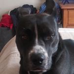 Kelly Cheney - @kcheney1382 - Instagram