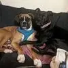 Kelly Clear Olsen - @kelly.clear.olsen - TikTok