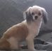 Kelly Coderre - Facebook