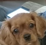 Kelly Coderre - Facebook
