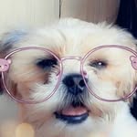 Kelly - @kellycollard2020 - Instagram