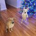 Kelly Conant - Facebook