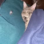 Kelly Cone - @kellycone94 - Instagram