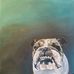 Kelly Conniff - Facebook
