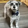 kellycorder1 - @kellycorder1 - TikTok