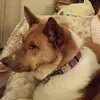 kellycorryn - @kellycorryn - TikTok
