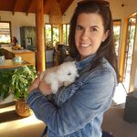 Kelly Dear - @kellyjdear - Instagram