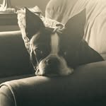 Kelly Deck - @giftgirl416 - Instagram