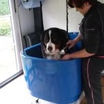 Kelly Deckers - @deckers.kelly - Instagram