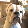 Kelly Denton - @kellydenton16 - TikTok