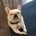 Kelly Dials - Facebook
