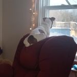 Kelly Didrickson - @redsparo1 - Instagram