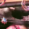Kelly_dix⋆ - @kellydiaz739 - TikTok