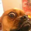 ko8367822 - @kellydix2 - TikTok