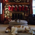 Kelly Eagen-Daniels - @ked13341 - Instagram