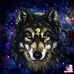 Kelly Early - Facebook