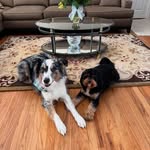 Kelly Eckhoff - @loki_lyla - Instagram