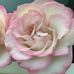 Kelly Eckman - Facebook