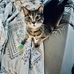 Kelly eckstein - Facebook